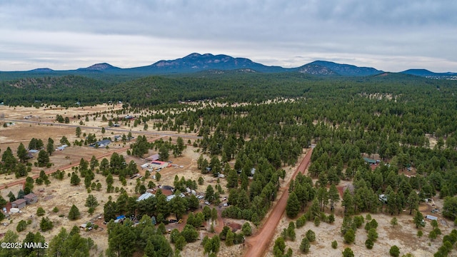 251 N E Park Rd, Parks, AZ 86018 - photo 41