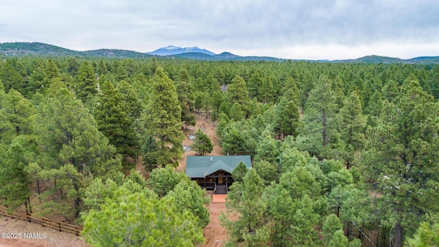 251 N E Park Rd, Parks, AZ 86018 - photo 39