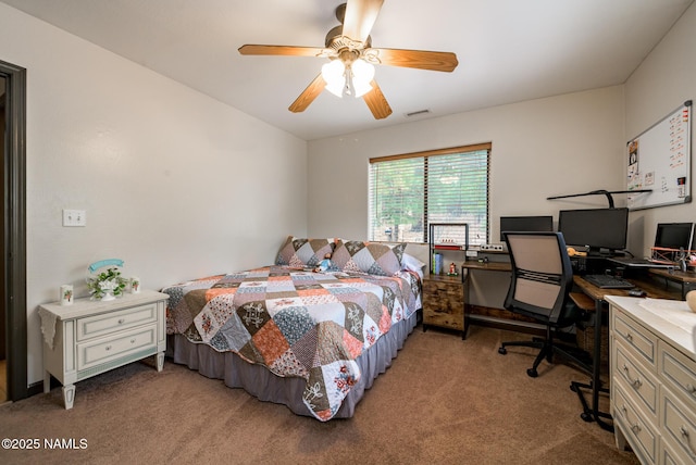 251 N E Park Rd, Parks, AZ 86018 - photo 19