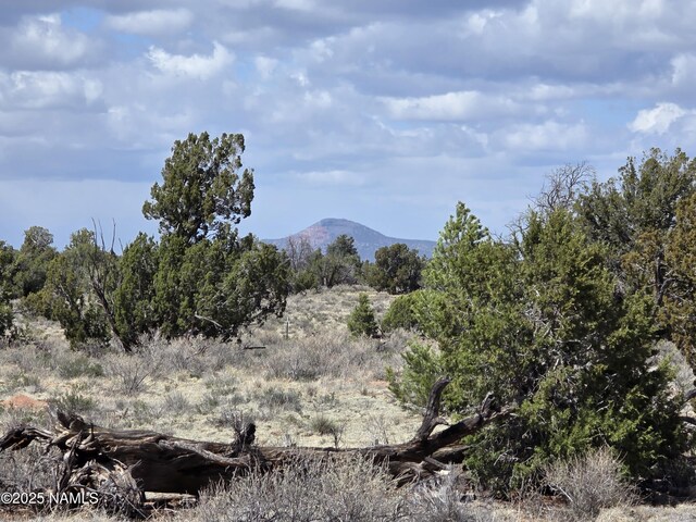 564 N Wyandotte Rd, Williams, AZ 86046 - photo 3