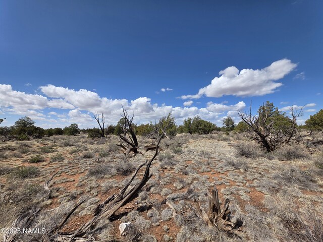 564 N Wyandotte Rd, Williams, AZ 86046 - photo 10