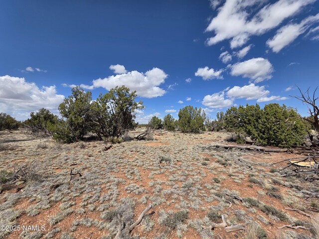 564 N Wyandotte Rd, Williams, AZ 86046 - photo 13