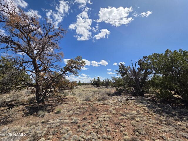 564 N Wyandotte Rd, Williams, AZ 86046 - photo 2