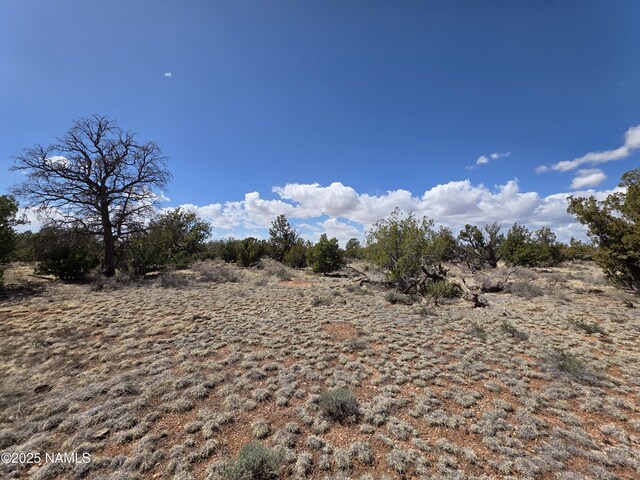 564 N Wyandotte Rd, Williams, AZ 86046 - photo 12