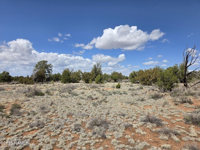 564 N Wyandotte Rd, Williams, AZ 86046 - photo 6
