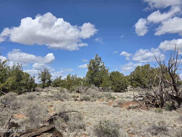 564 N Wyandotte Rd, Williams, AZ 86046 - photo 9
