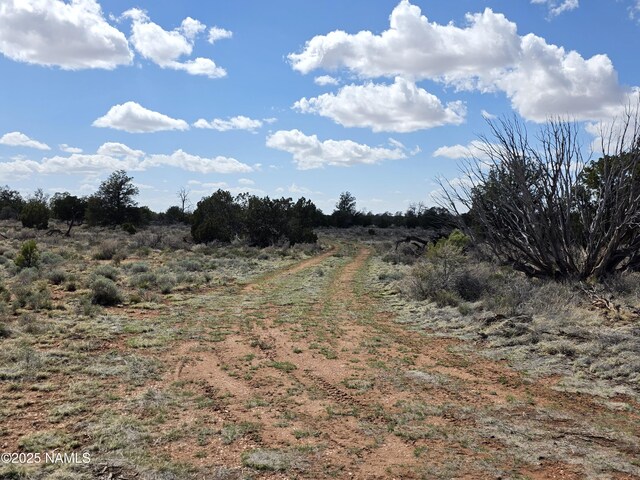 564 N Wyandotte Rd, Williams, AZ 86046 - photo 4