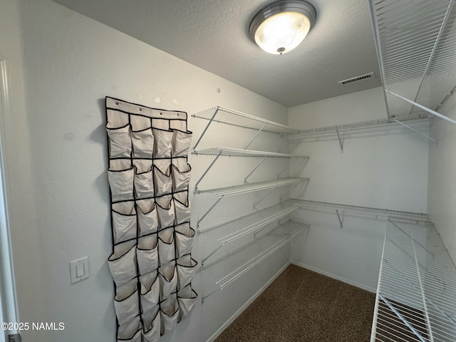 spacious closet with carpet flooring