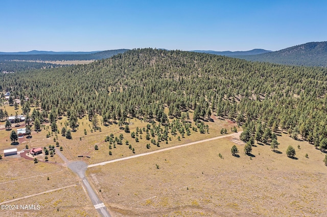 970 S Appaloosa Trl, Williams, AZ 86046