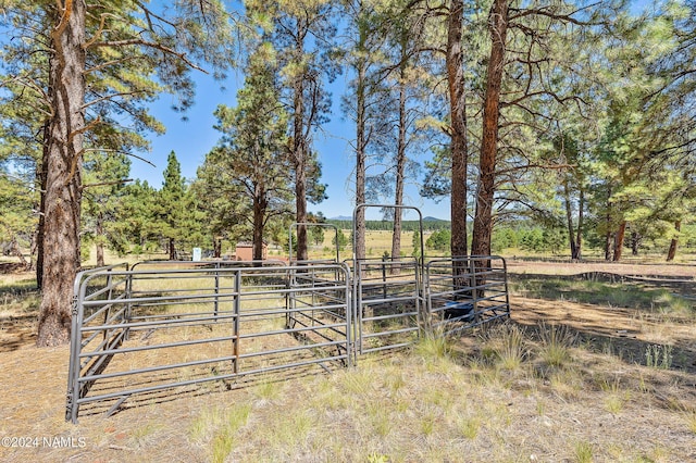 970 S Appaloosa Trl, Williams, AZ 86046