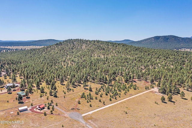 970 S Appaloosa Trl, Williams, AZ 86046
