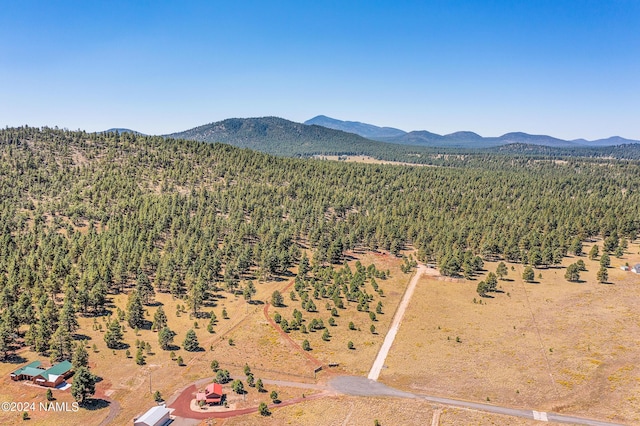 970 S Appaloosa Trl, Williams, AZ 86046