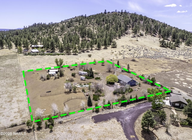 8841 E Rolling Thunder Dr, Flagstaff, AZ 86004 - view of rural area featuring a heavily wooded area, property boundaries highlighted, and a mountainous background
