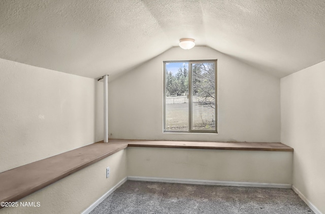8841 E Rolling Thunder Dr, Flagstaff, AZ 86004 - bonus room featuring lofted ceiling, a textured ceiling, carpet flooring, and baseboards