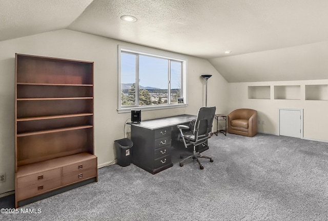 8841 E Rolling Thunder Dr, Flagstaff, AZ 86004 - home office featuring vaulted ceiling, carpet flooring, a textured ceiling, and a mountain view