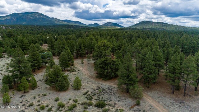 1646 Rupe Tank Rd, Williams, AZ 86046 - photo 30