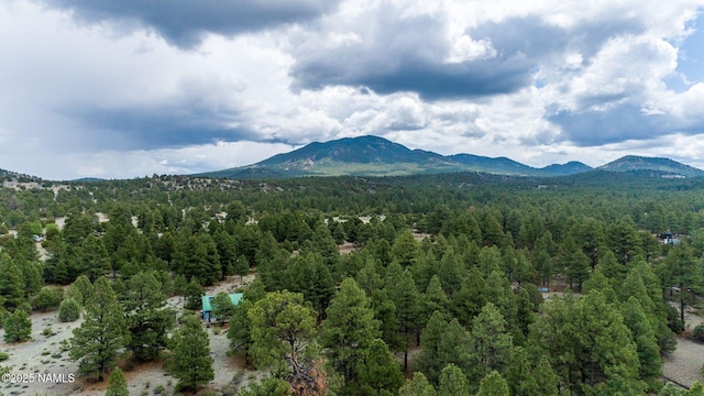 1646 Rupe Tank Rd, Williams, AZ 86046 - photo 27