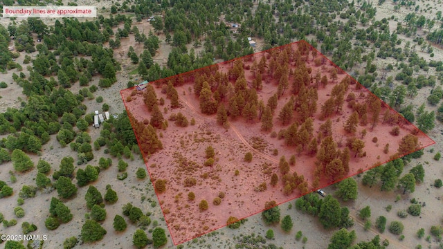 1646 Rupe Tank Rd, Williams, AZ 86046 - photo 36