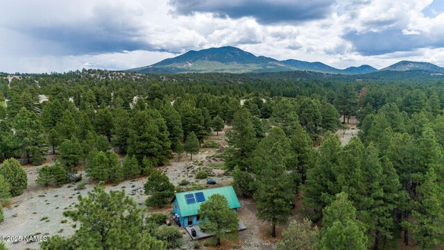 1646 Rupe Tank Rd, Williams, AZ 86046 - photo 26