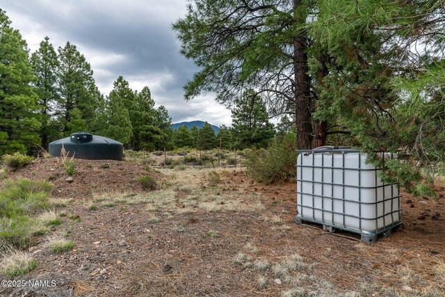 1646 Rupe Tank Rd, Williams, AZ 86046 - photo 28