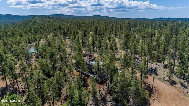 125 E Navajo Rd, Munds Park, AZ 86017 - photo 44