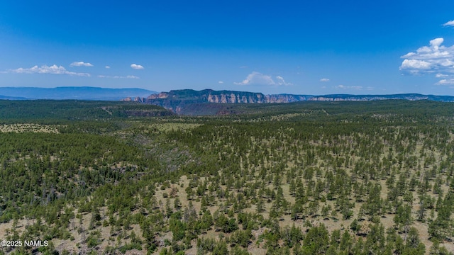 125 E Navajo Rd, Munds Park, AZ 86017 - photo 49