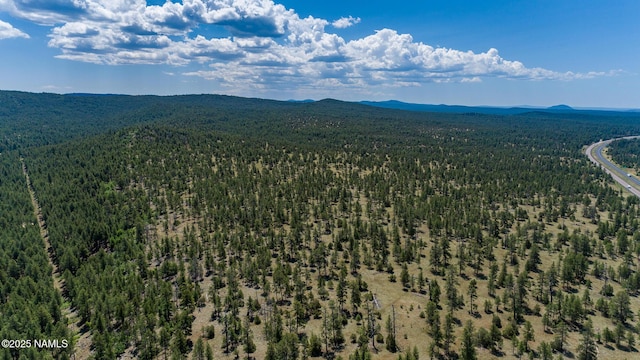 125 E Navajo Rd, Munds Park, AZ 86017 - photo 48