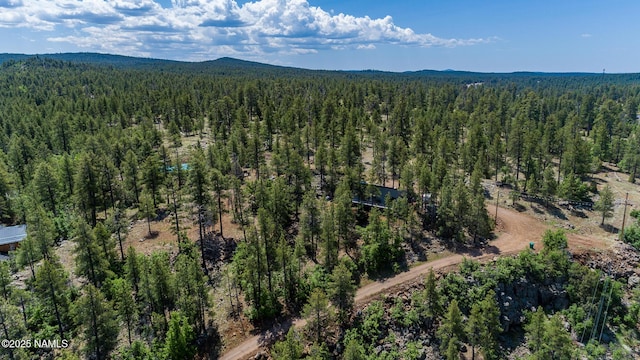 125 E Navajo Rd, Munds Park, AZ 86017 - photo 45