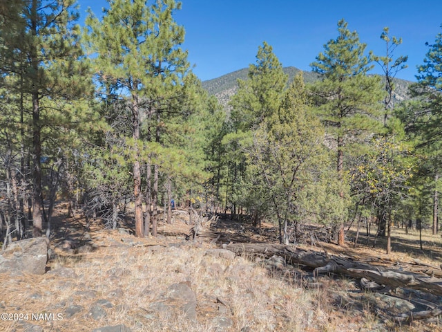 Listing photo 3 for 1384 E Bouteloua Bnd, Flagstaff AZ 86001