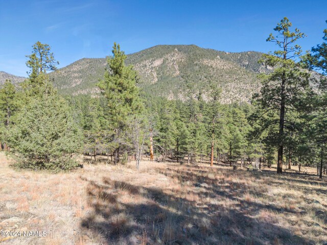 1384 E Bouteloua Bnd, Flagstaff AZ, 86001 land for sale