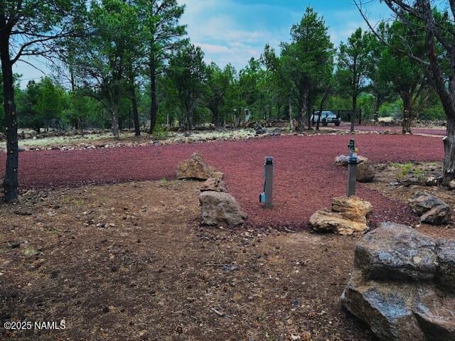 126 E Greenbriar Dr, Williams, AZ 86046 - photo 12