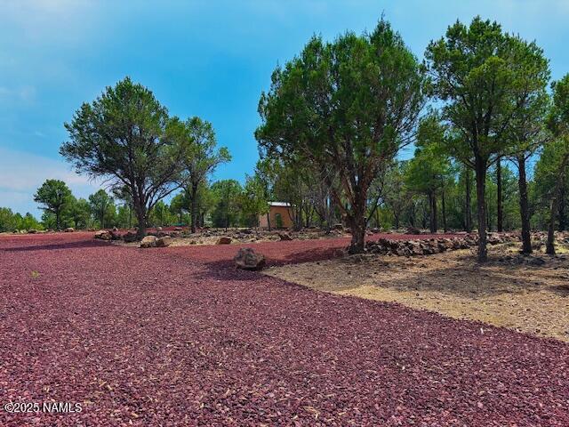 126 E Greenbriar Dr, Williams, AZ 86046 - photo 6