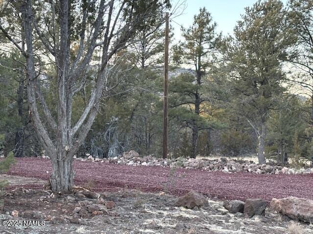 126 E Greenbriar Dr, Williams, AZ 86046 - photo 21
