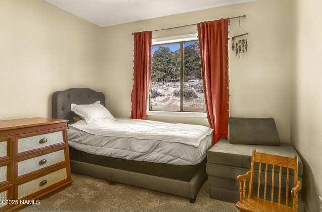 9654 Heritage Dr, Flagstaff, AZ 86004 - photo 24