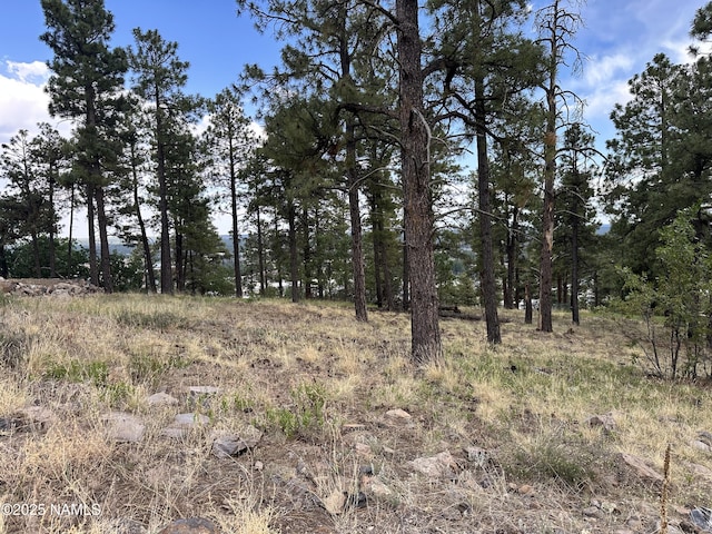 1548 W Lower Coconino Ave, Flagstaff, AZ 86001