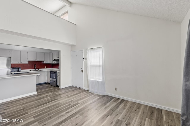 kitchen featuring a textured ceiling, wood-type flooring, stainless steel appliances, sink, and high vaulted ceiling