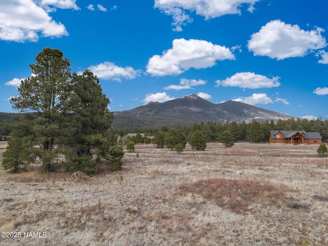 9025 N Snowbowl Ranch Rd, Flagstaff, AZ 86001 - photo 20