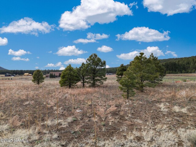 9025 N Snowbowl Ranch Rd, Flagstaff, AZ 86001 - photo 8