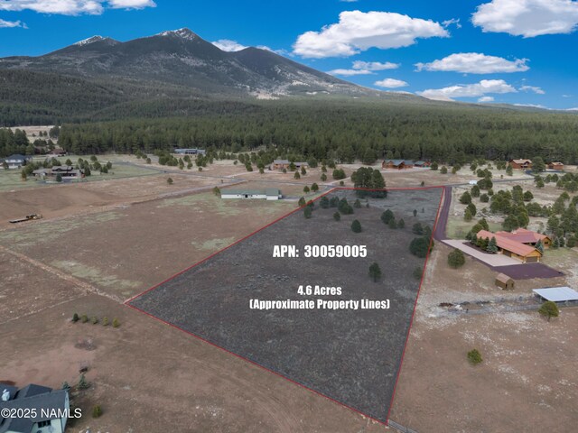 9025 N Snowbowl Ranch Rd, Flagstaff, AZ 86001 - photo 4