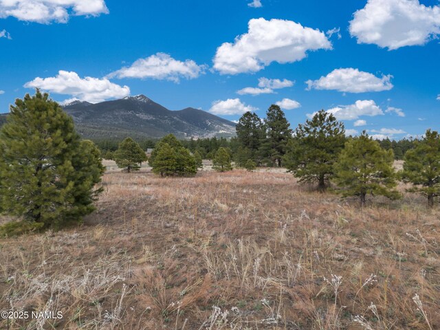 9025 N Snowbowl Ranch Rd, Flagstaff, AZ 86001 - photo 12