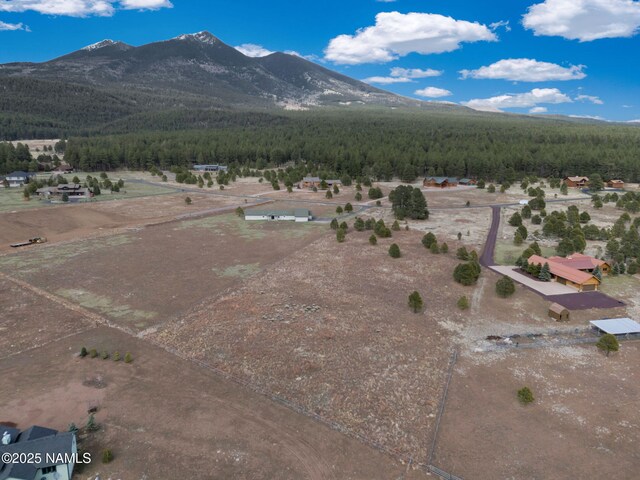 9025 N Snowbowl Ranch Rd, Flagstaff, AZ 86001 - photo 14