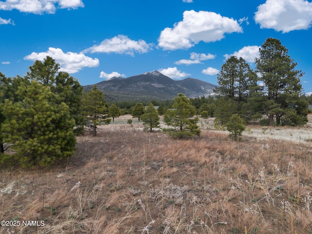 9025 N Snowbowl Ranch Rd, Flagstaff, AZ 86001 - photo 1