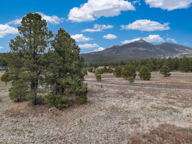 9025 N Snowbowl Ranch Rd, Flagstaff, AZ 86001 - photo 19
