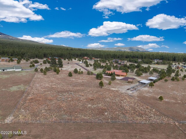 9025 N Snowbowl Ranch Rd, Flagstaff, AZ 86001 - photo 13