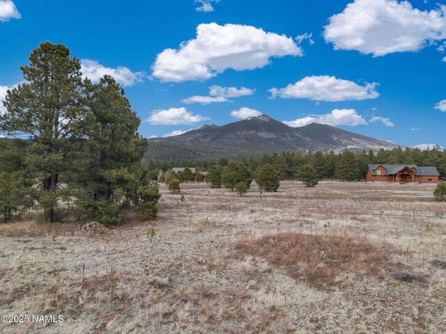 9025 N Snowbowl Ranch Rd, Flagstaff, AZ 86001 - photo 18