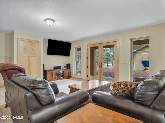 284 E Foothill Trl, Williams, AZ 86046 - living room with french doors and carpet flooring