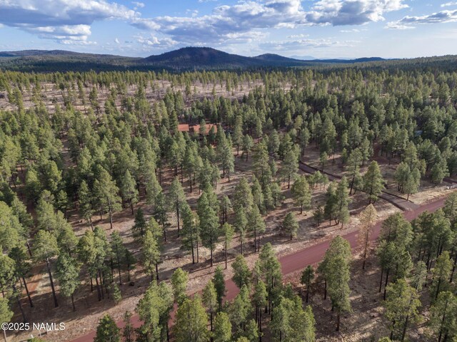 284 E Foothill Trl, Williams, AZ 86046 - aerial view featuring a mountain view and a wooded view
