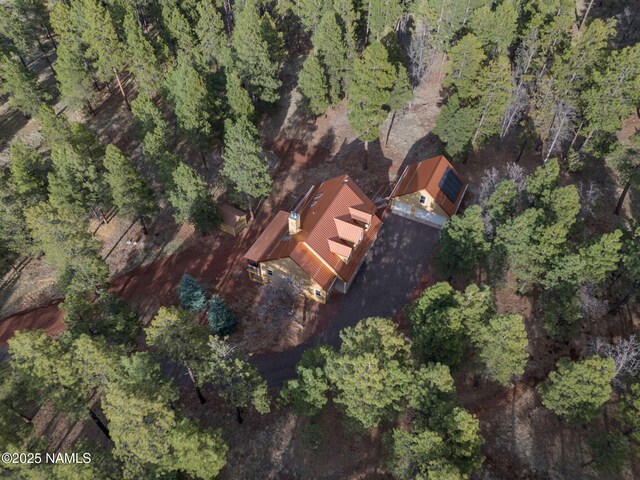 284 E Foothill Trl, Williams, AZ 86046 - drone / aerial view