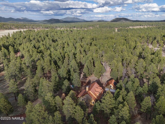 284 E Foothill Trl, Williams, AZ 86046 - drone / aerial view featuring a mountain view and a wooded view