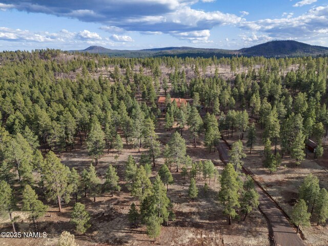 284 E Foothill Trl, Williams, AZ 86046 - property view of mountains with a view of trees